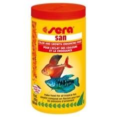Sera san